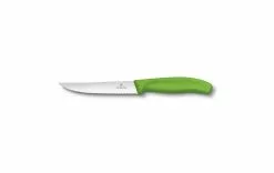 Victorinox Couteau à Steak Swiss Classic 1 Pièce/s, Vert - Couteau De Cuisine
